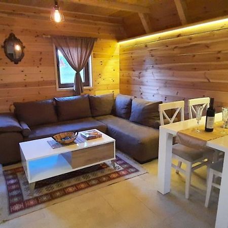 Mountain House Bjanka Villa Žabljak Kültér fotó