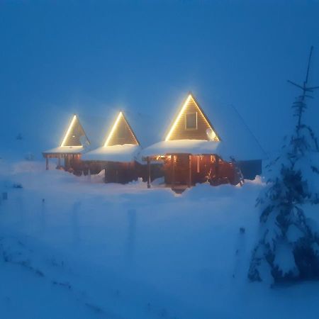Mountain House Bjanka Villa Žabljak Kültér fotó