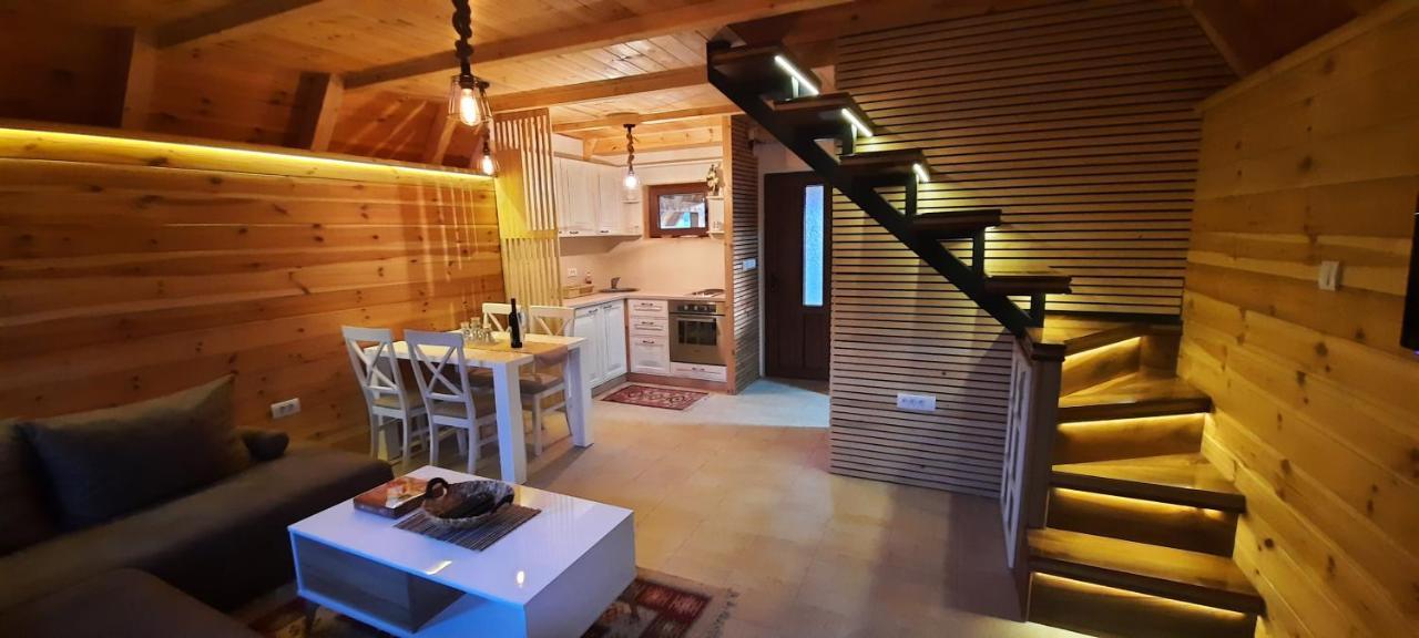 Mountain House Bjanka Villa Žabljak Kültér fotó